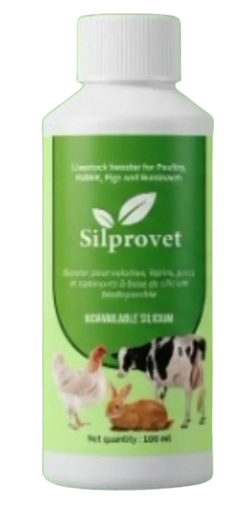 Silprovet bottle